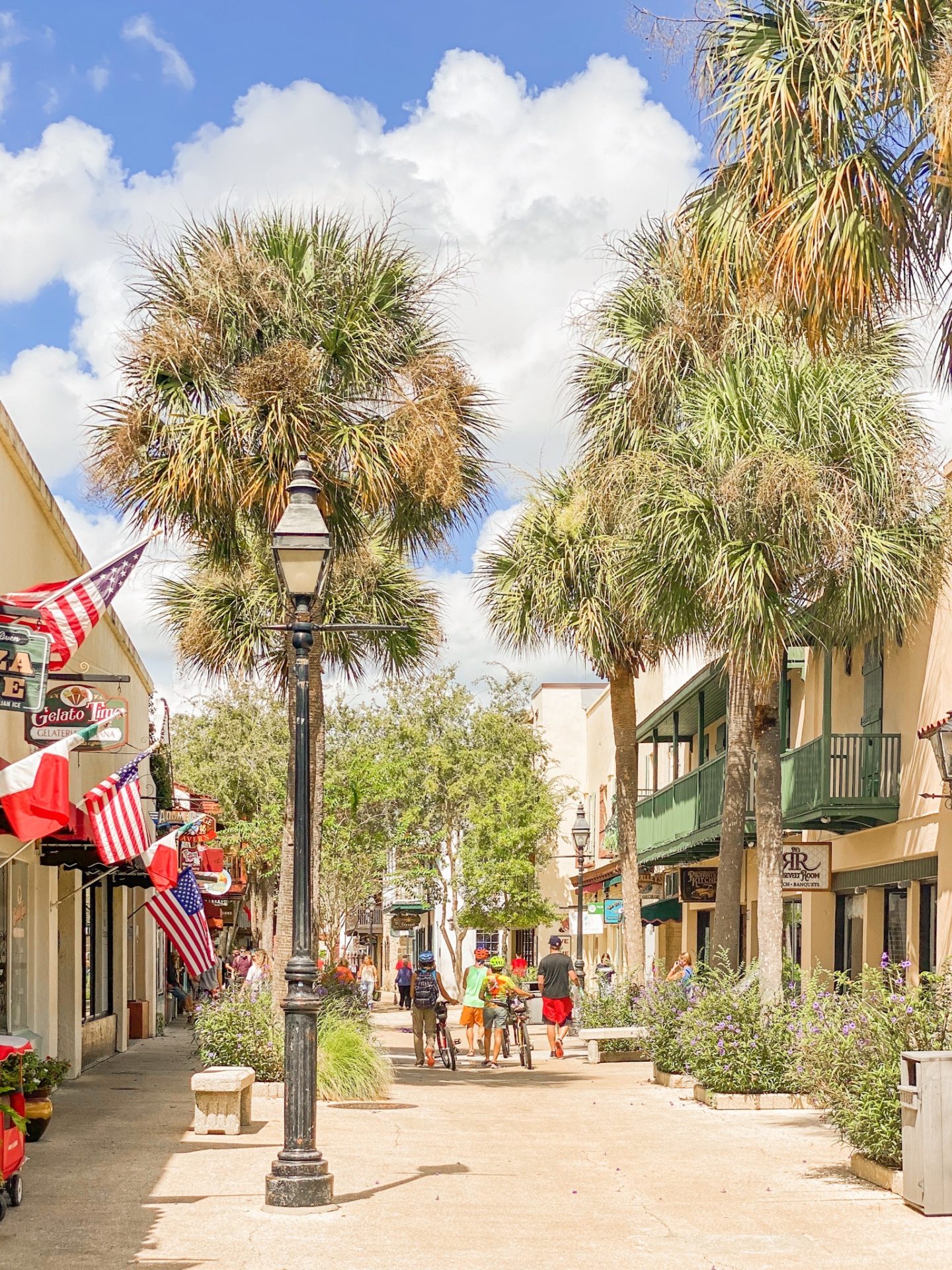 st george street in st augustine florida lined with palm trees and flags